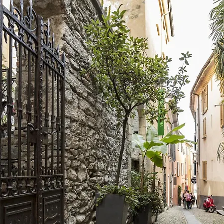 Da Gina Young By Interhome Appartement Ascona